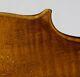 Very Old Labelled Vintage Violin David Tecchler? Geige