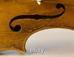Very old labelled Vintage violin David Tecchler? Geige