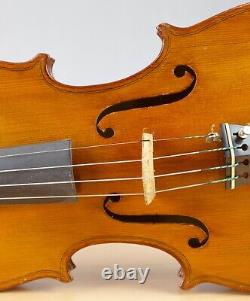 Very old labelled Vintage violin Guerra Evasio Emiliano? Geige 1315