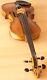 Very Old Labelled Vintage Violin Petrus Guarnerius? Geige