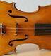 Very Old Labelled Vintage Violin Stefano Scarampella Geige 1306