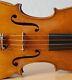 Very Old Labelled Vintage Violin Stefano Scarampella? Geige 1306