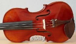 Very old labelled Vintage violin Stefano Scarampella Geige 736