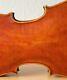 Very Old Vintage 4/4 Violin Geige Viola Cello Labeled Averna Alfredo Nr. 959