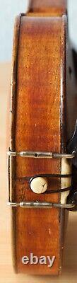 Very old vintage 4/4 violin Geige viola cello labeled AVERNA ALFREDO Nr. 959