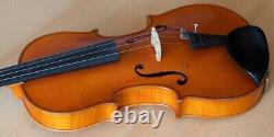 Very old vintage 4/4 violin Geige viola cello labeled ROBERTO DELFANTI Nr. 1246