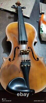 Violin 4/4 antonius stradivarius 1713