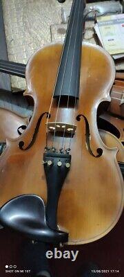 Violin 4/4 antonius stradivarius 1713