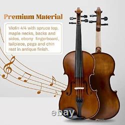 Violin Strings 4/4 Full Set, Antique Solidwood Spruce and Ebony Fittings