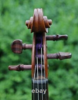 4/4 Violine Antique Bohemienne Vers 1900 Par Frantisek Bocek, Écoutez Video