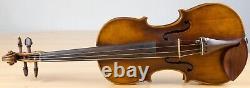 Beau violon vintage 4/4 geige alto violon violoncelle violon flûte lab. FRANCESCO RUGGIERI Nr. 207