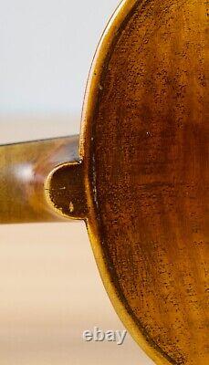 Beau violon vintage 4/4 geige alto violon violoncelle violon flûte lab. FRANCESCO RUGGIERI Nr. 207