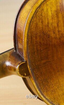 Beau violon vintage 4/4 geige alto violon violoncelle violon flûte lab. FRANCESCO RUGGIERI Nr. 207