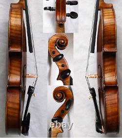 Bon Vieux Allemand Violin Schallowetz Vidéo Rare Antique? 116 États Membres De L'organisation Des Nations Unies Pour L'alimentation Et L'agriculture (fao)