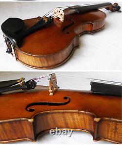 Bon Vieux Allemand Violin Schallowetz Vidéo Rare Antique? 116 États Membres De L'organisation Des Nations Unies Pour L'alimentation Et L'agriculture (fao)