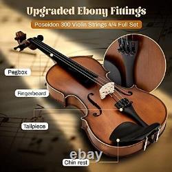 Cordes de violon 4/4 ensemble complet, épicéa massif antique et ajustements en ébène