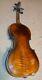 Étiquette Jacobus Stainer Inside Vintage Antique Old Violin Full Size