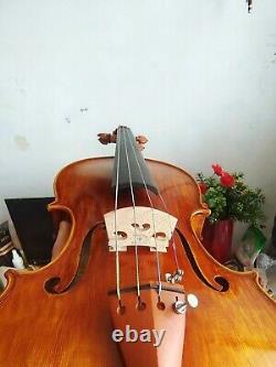 Maître violon 4/4 Modèle Stradi en érable flammé avec dos en épicéa ancien fait à la main