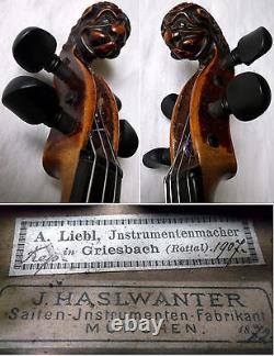 Old German Lionhead Violin J. Haslwanter 1872 Vidéo Antique 508