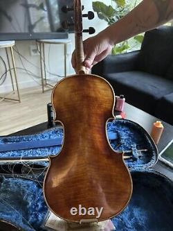 Rocman Tucker Violon Bohémia Larupa