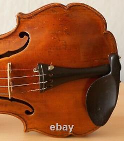 Très Vieux Violon Vintage Étiqueté Castelli Violon Geige