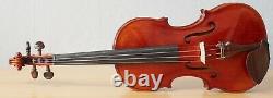 Très Vieux Violon Vintage Étiqueté Stefano Scarampella Geige 736