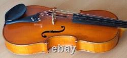 Très ancien violon 4/4 vintage étiqueté ROBERTO DELFANTI Nr. 1246
