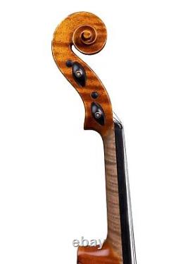 Un superbe violon d'atelier Vivarius 4/4 avec un son incroyable fait main en 2021 #142
