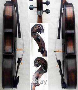 Vidéo d'une ancienne et rare violon Lionhead à tête de lion ? 477