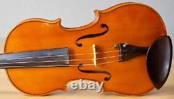 Vieil violon vintage 4/4 Étiquette Geige alto violoncelle ENRICO MARCHETTI Nr. 206