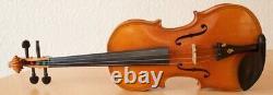 Vieil violon vintage 4/4 Geige alto violoncelle violon étiqueté CASPARO DA SALO Nr. 505