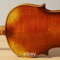 Vieil violon vintage 4/4 étiquette GIUSEPPE DELLACANI Nr. 1648