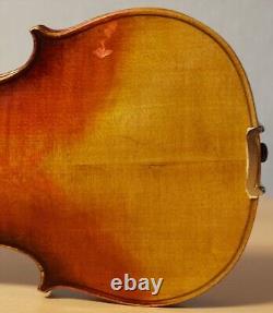 Vieil violon vintage 4/4 étiquette GIUSEPPE DELLACANI Nr. 1648