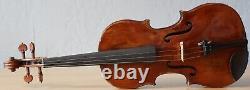 Vieil violon vintage 4/4 étiquette PIETRO PALLOTTA Nr. 1714
