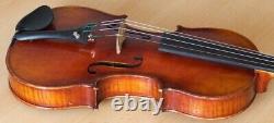 Vieil violon vintage 4/4 étiquette POLLASTRI GAETANO Nr. 1224