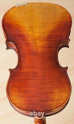 Vieil violon vintage 4/4 étiquette POLLASTRI GAETANO Nr. 1224
