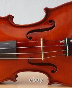 Vieil violon vintage 4/4 étiquette de violoncelle RICCARDO ANTONIAZZI Nr. 1759