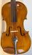 Vieil Violon Vintage 4/4 Geige Alto Violon Violoncelle Violon Fou Lab. Gia. Bapt. Grancino Nr. 1897