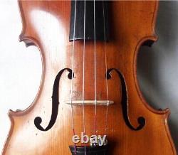Vielle violon allemand de 1950 - vidéo - Antique Rare Master? 511