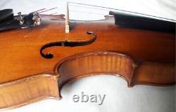 Vielle violon allemand de 1950 - vidéo - Antique Rare Master? 511