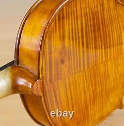 Vielle violon vintage 4/4 Geige alto violoncelle violon lab EVASIO EMILIO GUERRA Nr. 263