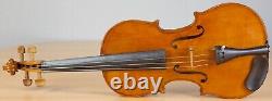 Vielle violon vintage 4/4 Geige alto violoncelle violon lab EVASIO EMILIO GUERRA Nr. 263