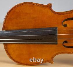 Vielle violon vintage 4/4 Geige alto violoncelle violon lab EVASIO EMILIO GUERRA Nr. 263