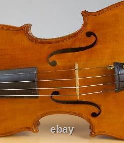 Vielle violon vintage 4/4 Geige alto violoncelle violon lab EVASIO EMILIO GUERRA Nr. 263