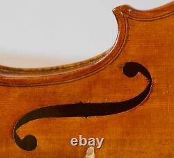 Vielle violon vintage 4/4 Geige alto violoncelle violon lab EVASIO EMILIO GUERRA Nr. 263