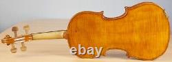 Vielle violon vintage 4/4 Geige alto violoncelle violon lab EVASIO EMILIO GUERRA Nr. 263