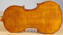 Vielle violon vintage 4/4 Geige alto violoncelle violon lab EVASIO EMILIO GUERRA Nr. 263