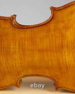 Vielle violon vintage 4/4 Geige alto violoncelle violon lab EVASIO EMILIO GUERRA Nr. 263