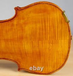 Vielle violon vintage 4/4 Geige alto violoncelle violon lab EVASIO EMILIO GUERRA Nr. 263