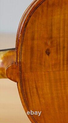 Vielle violon vintage 4/4 Geige alto violoncelle violon lab EVASIO EMILIO GUERRA Nr. 263